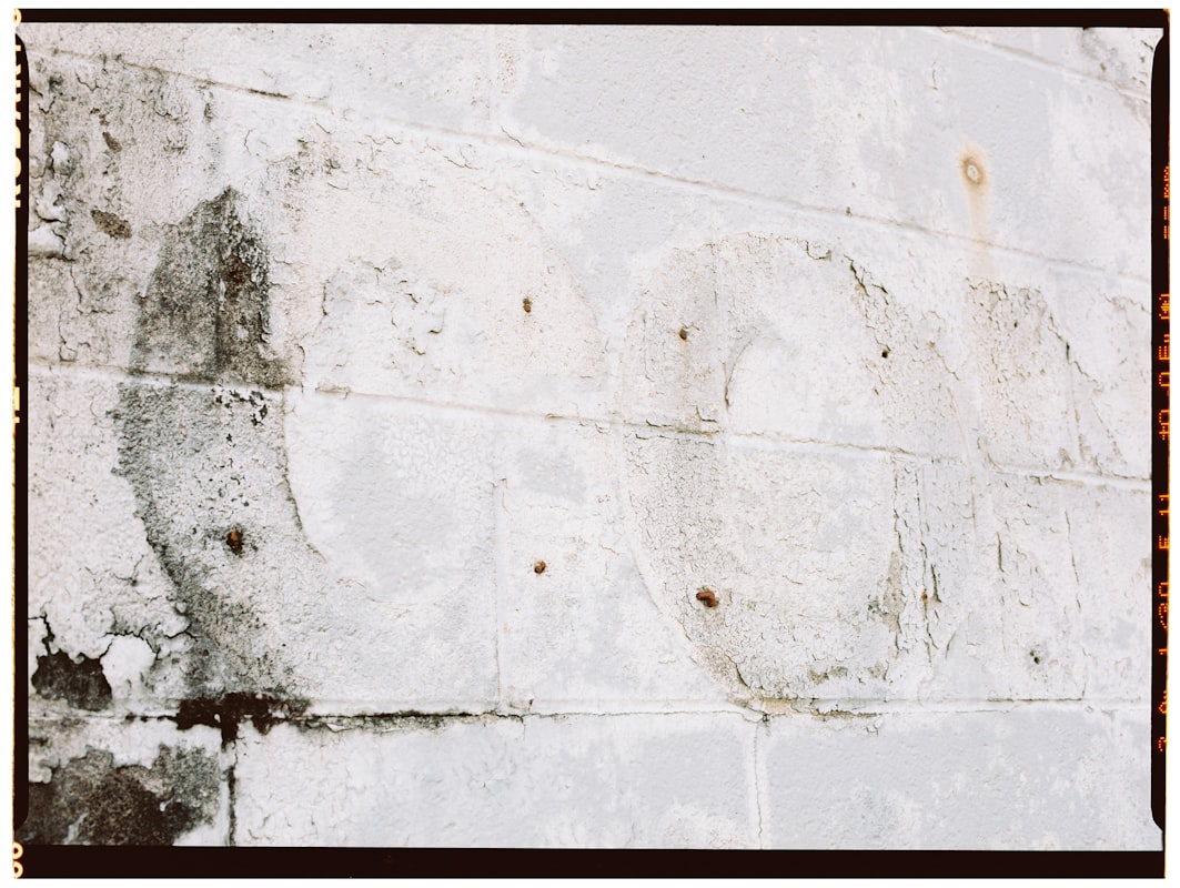 Flood Cleanup service in Sherman, TX