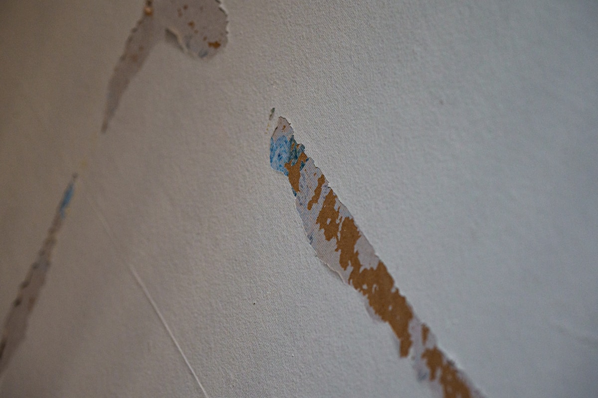 Water Extraction service in Sherman, TX